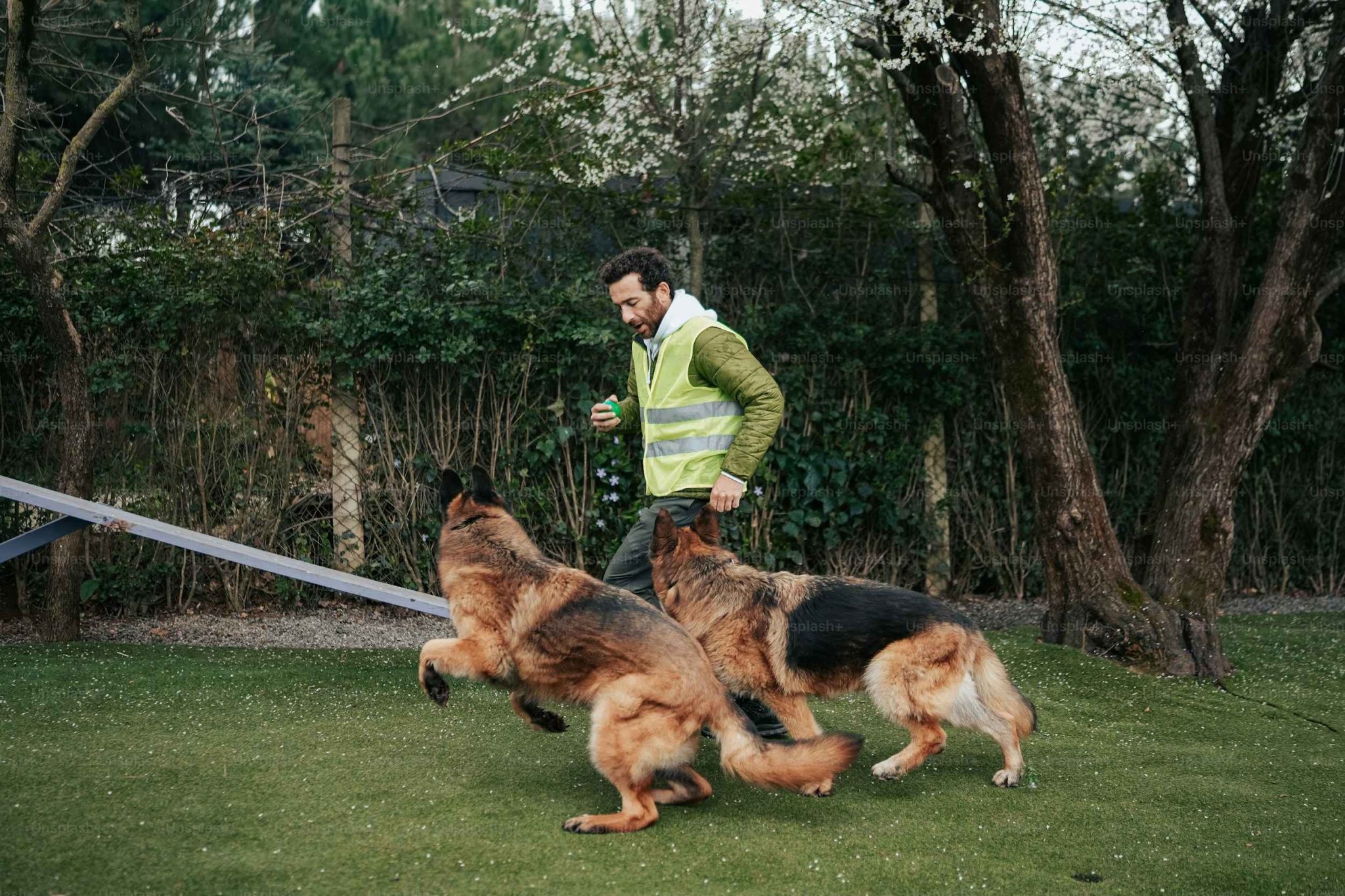 Security Pet Inseranse About Us - Dog Security Services