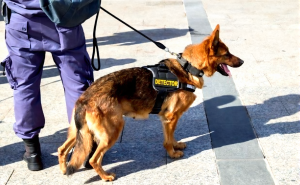 CCTV K9 cost savings