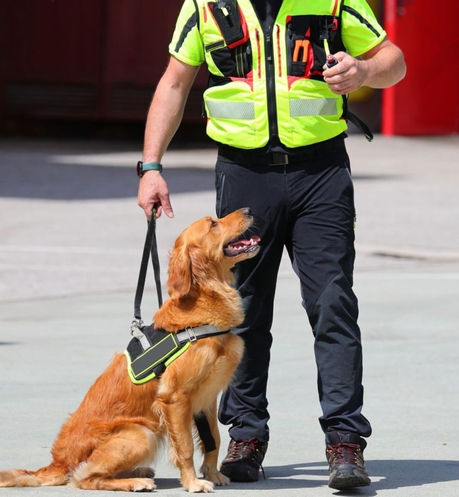 k9 psychological triggers security