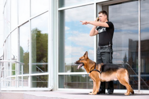K9 Security vs Guards