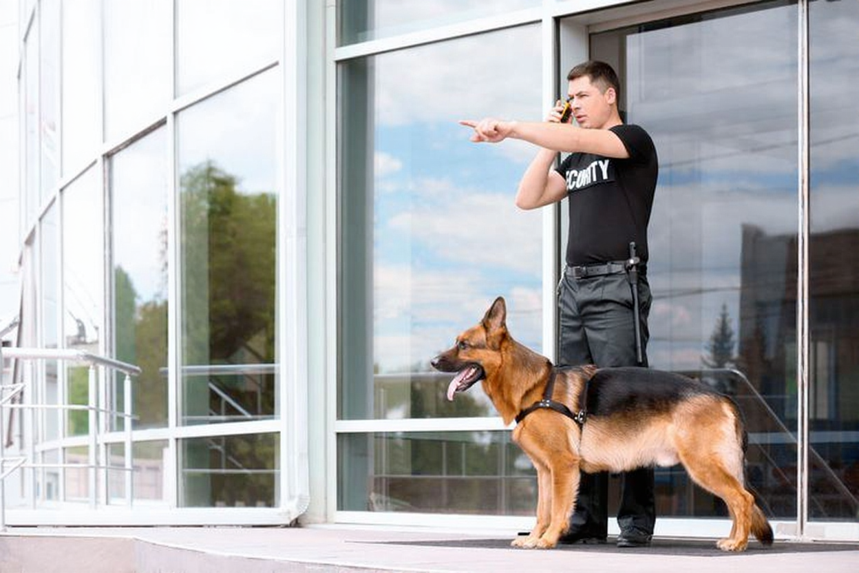 K9 Security vs Guards