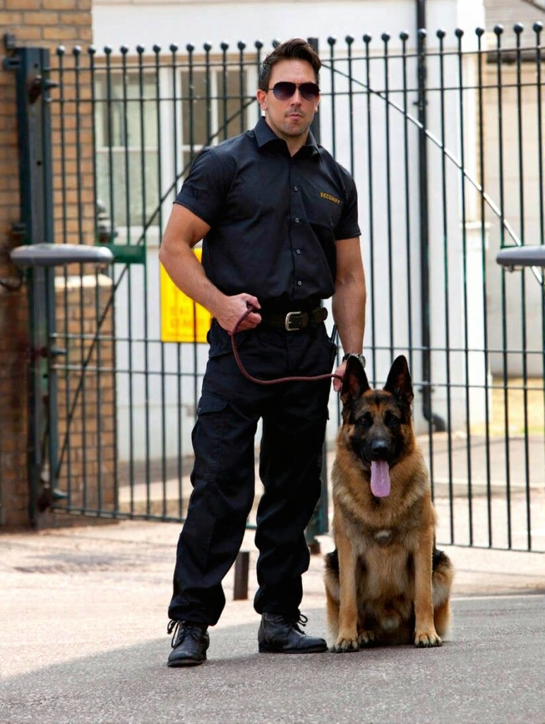 K9 intrusion detection