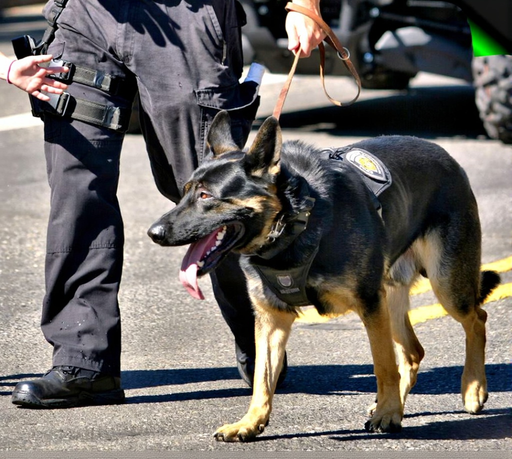 K9 security for machinery