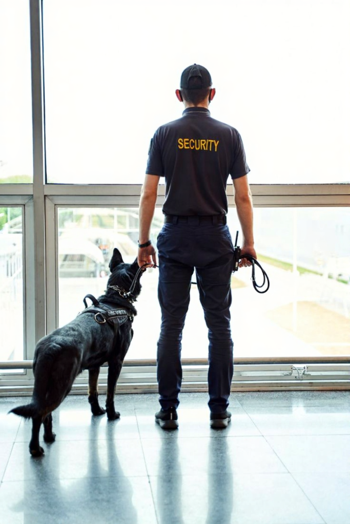 Security dogs for distribution centres