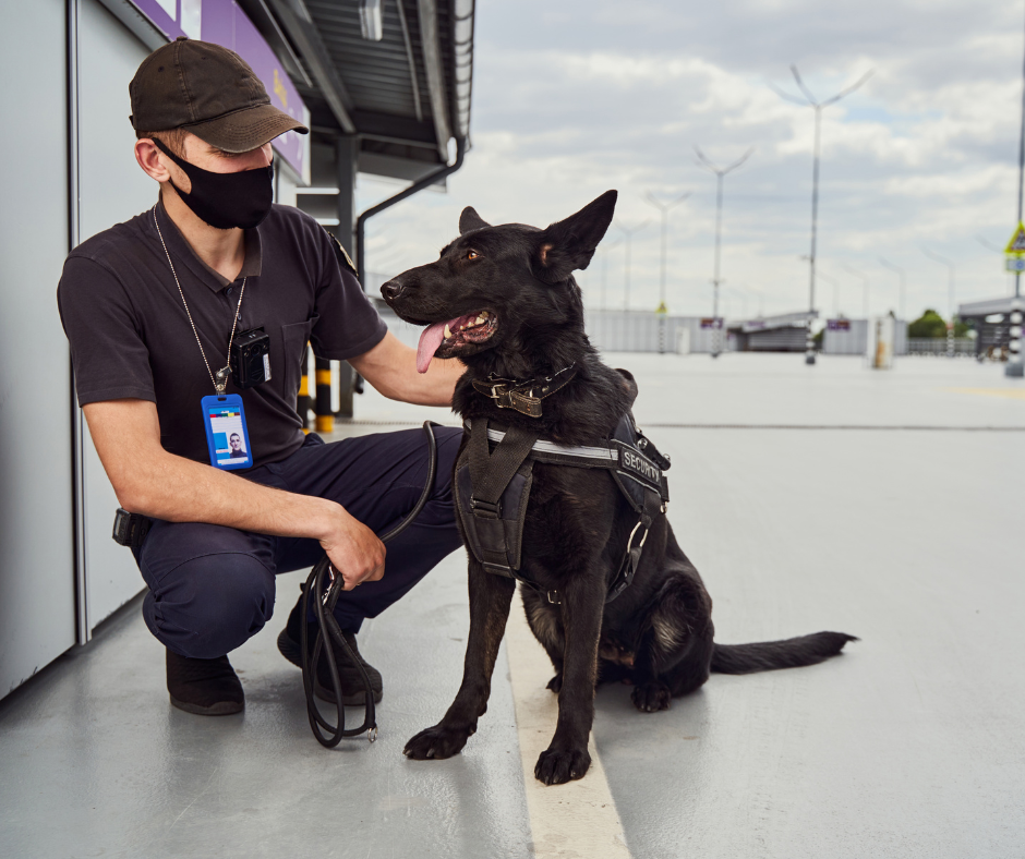 K9 patrol security for retail parks