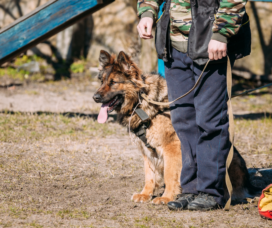 University security K9 units