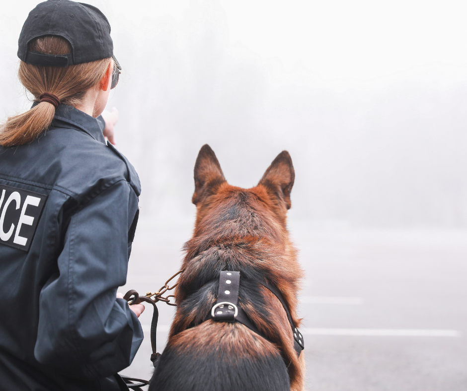 security dogs for back-of-house