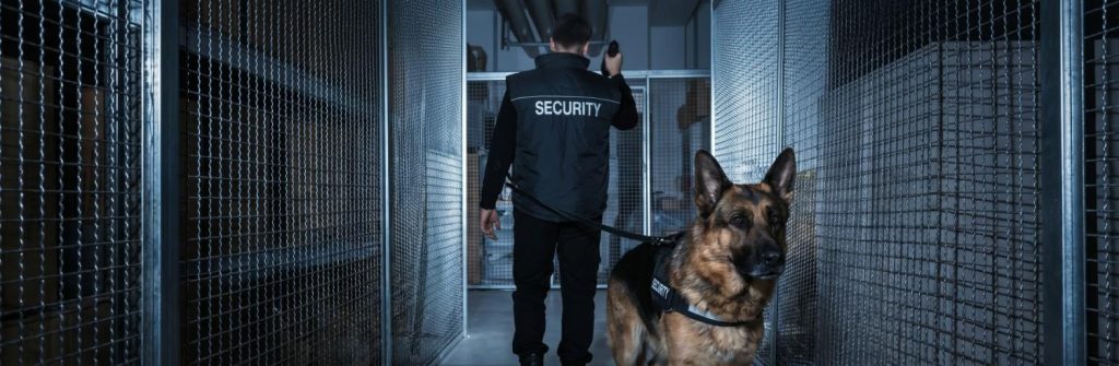 K9 security officer conducting indoor patrol in secure commercial facility with trained guard dog.