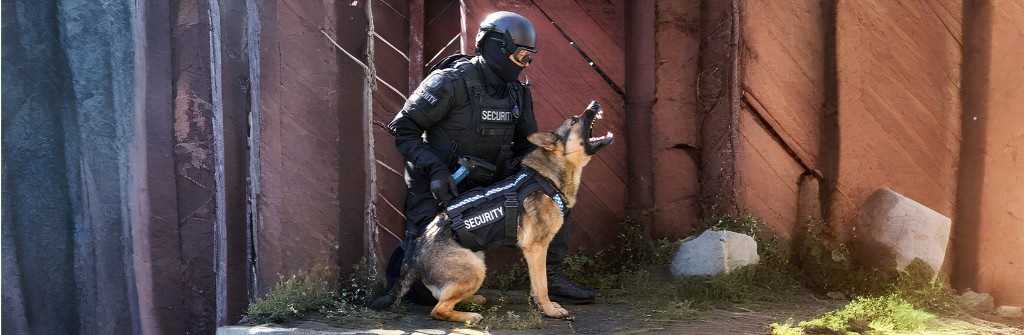 K9 officer during security patrol