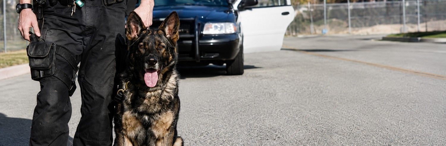 Mobile Patrol for Alarm Response