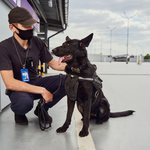 The Impact of K9 Patrols on Retail Park Perimeter and Out-of-Hours Security